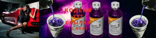 apvp Осташков