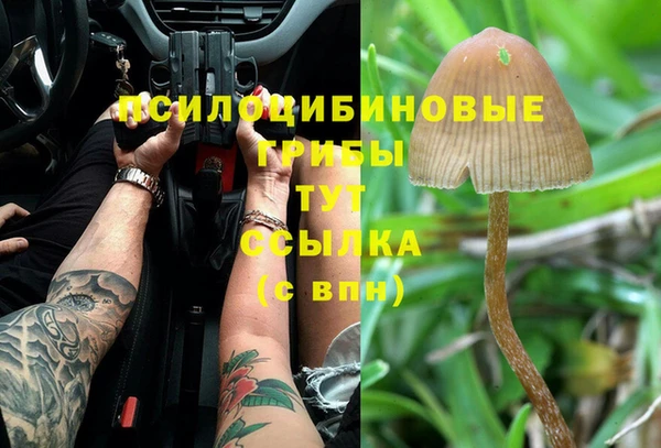 apvp Осташков